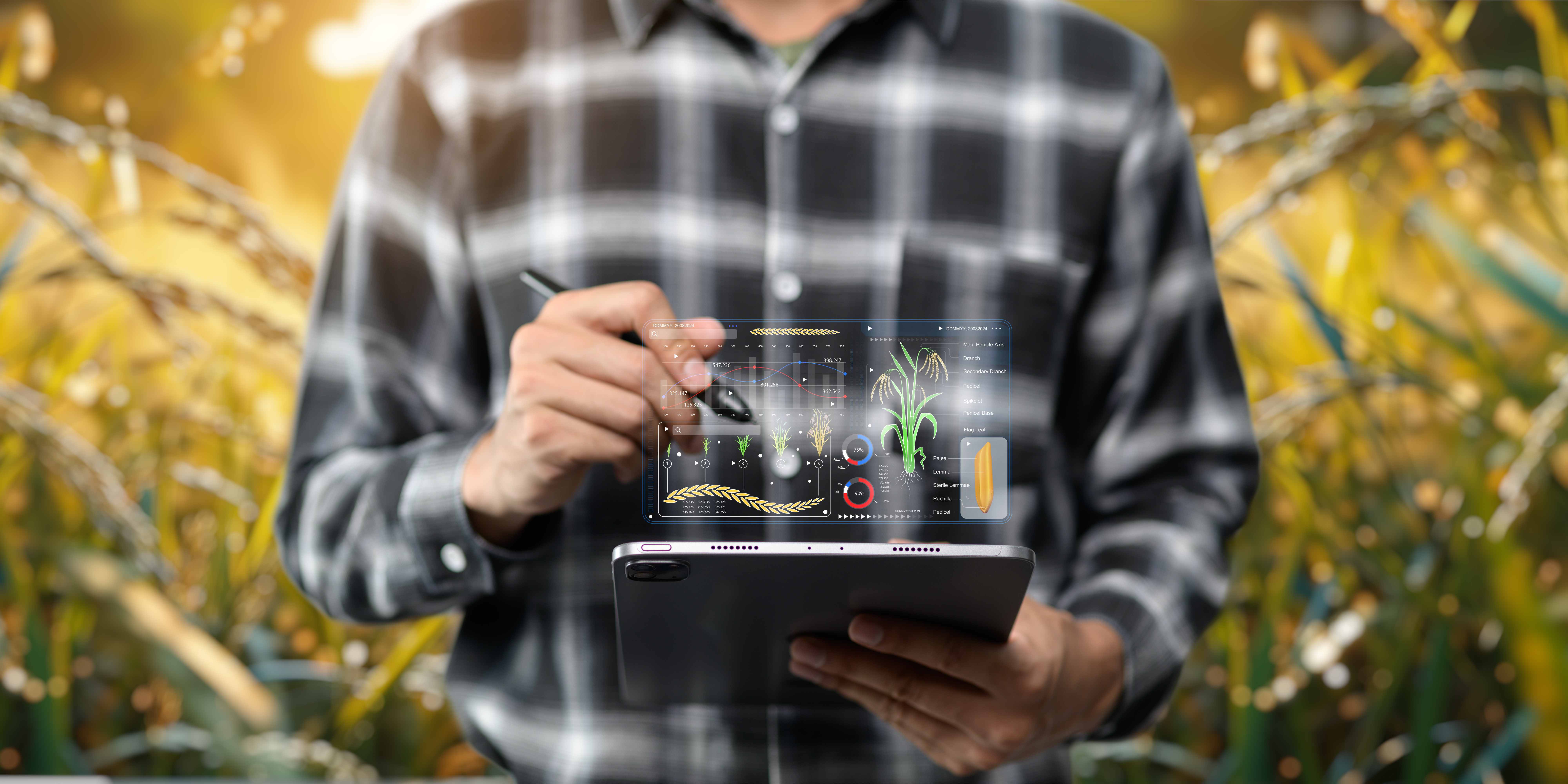 ЕСХН: Единый сельскохозяйственный налог